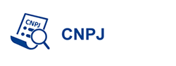 CNPJ.website